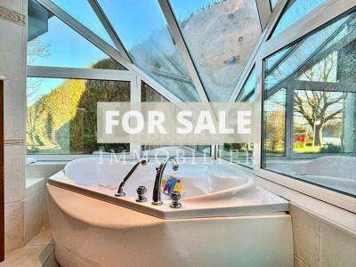 Contemporary Detached House with Pool