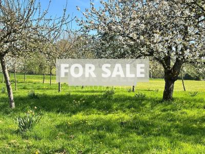 Domaine Exceptionnel Aux Portes D\'alencon.