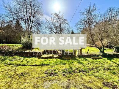 Detached Country House with Outbuilding