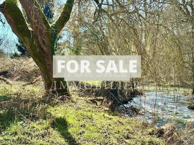 Detached Country House with Outbuilding