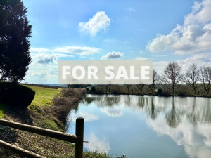 Detached Country House with Lake and Open Views