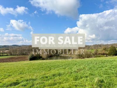 Detached Country House with Lake and Open Views