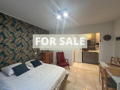 Detached House Divided into Five Apartments