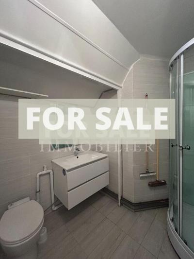 Detached House Divided into Five Apartments