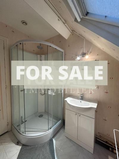 Detached House Divided into Five Apartments