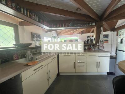 Detached Country House with Striking Character