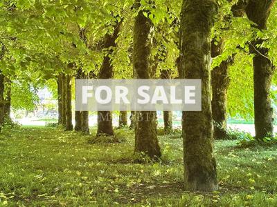 Manor House, Second House and Caretaker's Cottage