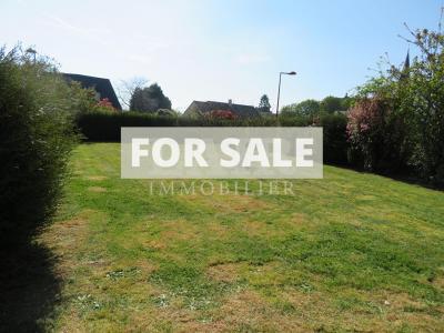 Detached House With Garden And Outbuilding