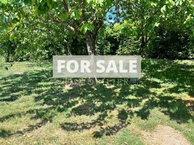 Detached House with Landscaped GardenGarden