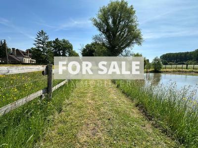 Equestrian Property in 10 Hectares of Land