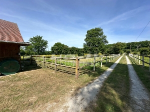 Equestrian Property in 10 Hectares of Land