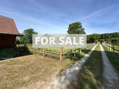 Equestrian Property in 10 Hectares of Land