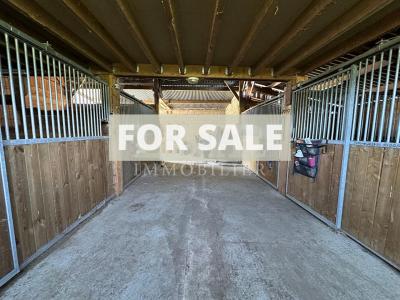 Equestrian Property in 10 Hectares of Land