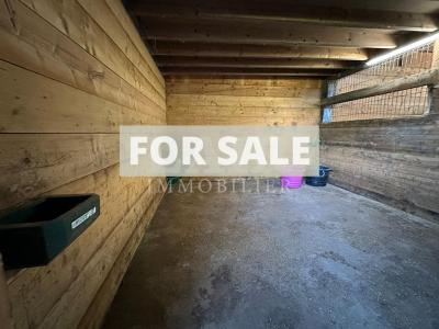 Equestrian Property in 10 Hectares of Land