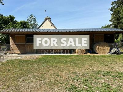 Equestrian Property in 10 Hectares of Land