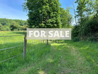 Equestrian Property in 10 Hectares of Land