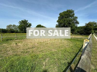 Equestrian Property in 10 Hectares of Land