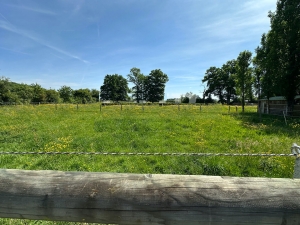 Equestrian Property in 10 Hectares of Land