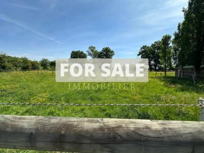 Equestrian Property in 10 Hectares of Land