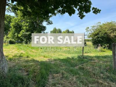 Equestrian Property in 10 Hectares of Land