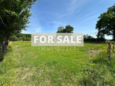 Equestrian Property in 10 Hectares of Land