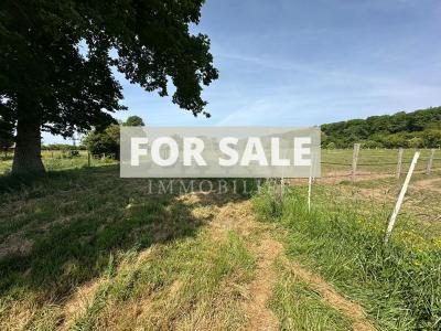 Equestrian Property in 10 Hectares of Land