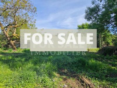 Detached Country House with Open Views