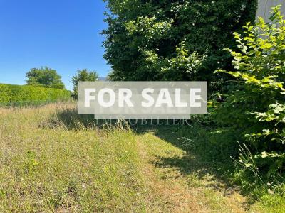 Detached Country House with Garden