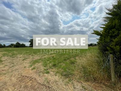 Detached Country House with Over Two Hectares of Land