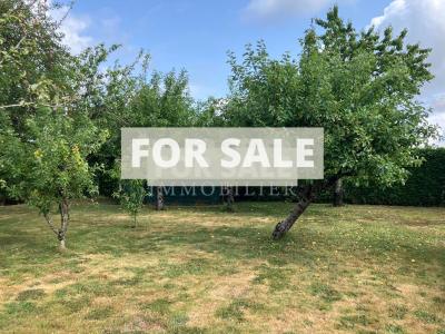Detached House with Landscaped Garden