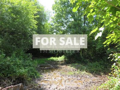 Detached Country House with Stream on Border