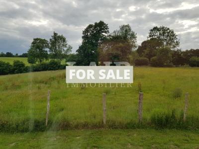 Detached Country House with Outbuilding