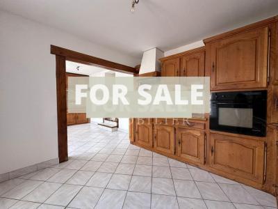 Habitable Village House to Improve