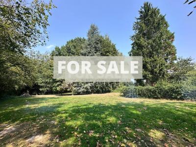 Detached Country House with Open Views