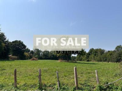 Detached Country House with Open Views