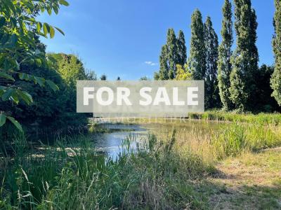 Country House with Lots of Land and Pond