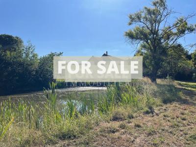 Country House with Lots of Land and Pond