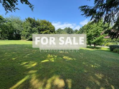 Detached Country House with Outbuilding