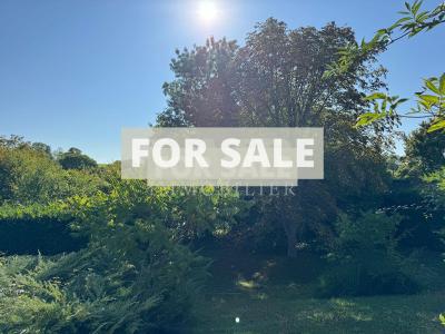 Detached House with Mature Garden