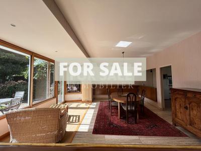 Beautiful House in Great Location