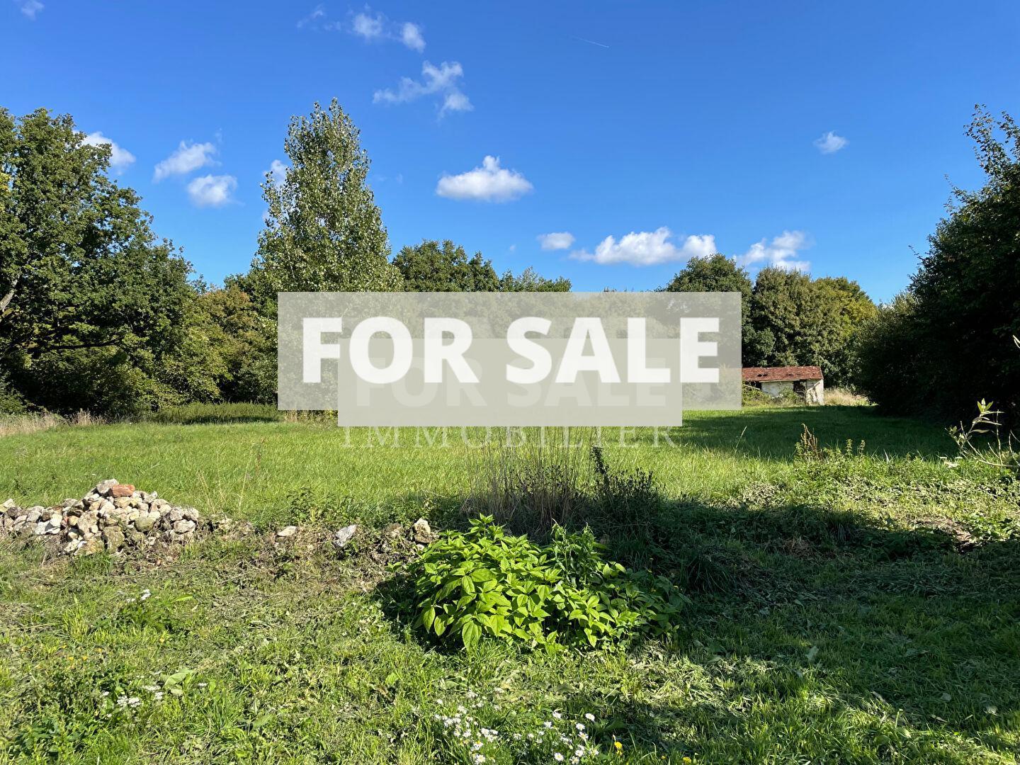 Detached Country Longere Style House with Pond
