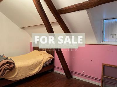 Detached Country Longere Style House with Pond