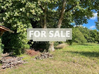 Detached Country Longere Style House with Pond