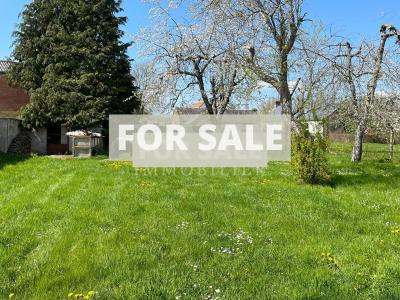 Beautiful House in Good Decorative Order