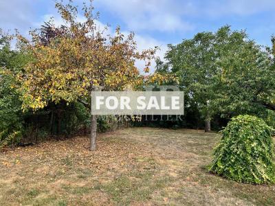 Spacious Detached Villa With Nice Garden