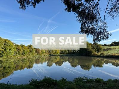 Leisure Lake in the Beautiful Countryside