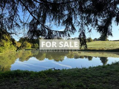 Leisure Lake in the Lovely Countryside