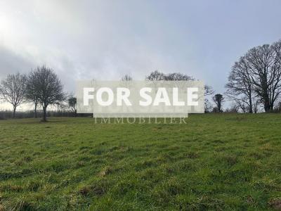 Detached Country House with Outbuilding