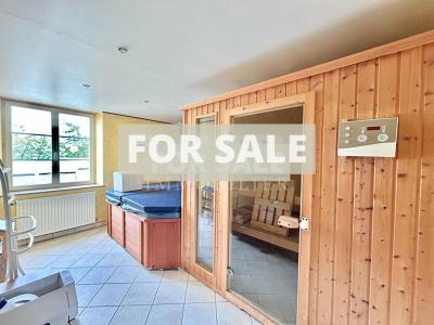 Detached Country House with Covered Pool and Pond