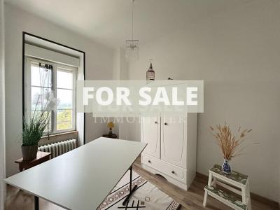 Detached Country House with Covered Pool and Pond